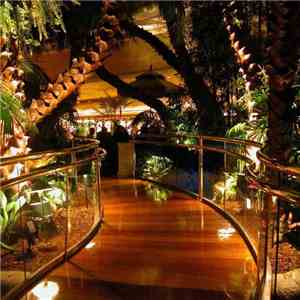 Jon Coe  - Mix #3: Rainforest Cafe Two Step download flac mp3