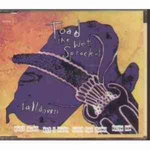 Toad The Wet Sprocket - Fall Down download flac mp3