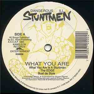 Dangerous Ill Stuntmen - What You Are download flac mp3