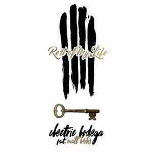 Electric Bodega - Rest Of My Life flac mp3 download