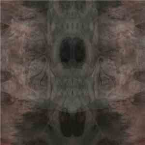 Llung - I download flac mp3
