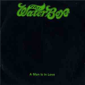 The Waterboys - A Man Is In Love download flac mp3