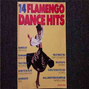 Various - 14 Flamengo Dance Hits download flac mp3