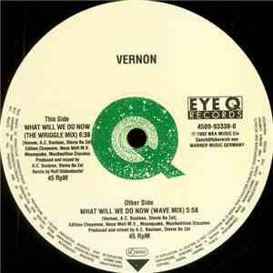 Vernon - What Will We Do Now download flac mp3