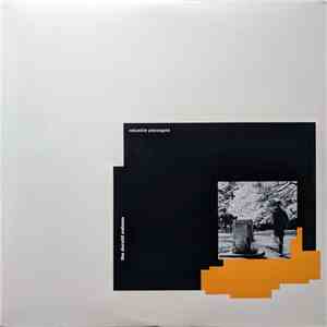 The Durutti Column - Valuable Passages download flac mp3