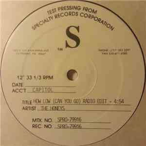 The Honey's - How Low (Can You Go) download flac mp3