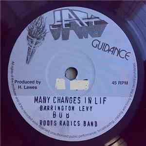 Barrington Levy / Roots Radics Band - Many Changes In Life / Many Changes In Life (Dub) download flac mp3