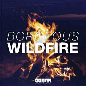 Borgeous - Wildfire download flac mp3