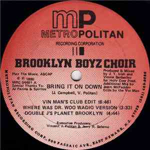 Brooklyn Boyz Choir - Bring It On Down download flac mp3