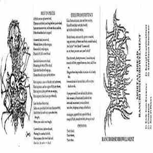 Mortal Dread  - Rancid Disembowelment download flac mp3