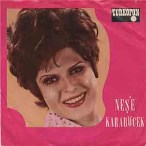 Neşe Karaböcek - Dört Mevsimdae Sen / Dert Ortagim download flac mp3