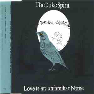 The Duke Spirit - Love Is An Unfamiliar Name download flac mp3
