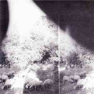 Godspeed You! Black Emperor - Asunder, Sweet And Other Distress download flac mp3