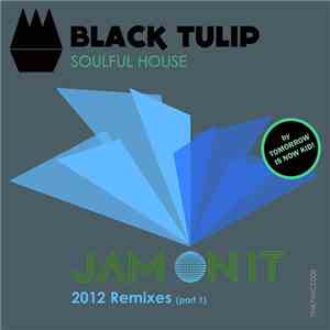 Black Tulip - Jam On It (2012 Remixes Pt.1) download flac mp3