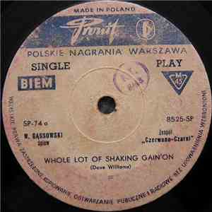 Czerwono-Czarni - Whole Lot Of Shaking Gain' On / Sailor download flac mp3