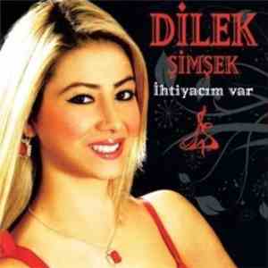 Dilek Şimşek - İhtiyacım Var download flac mp3