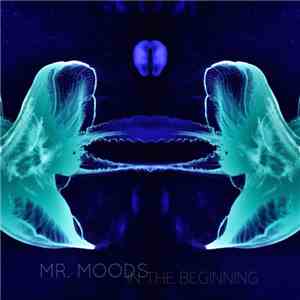 Mr. Moods - In The Beginning download flac mp3