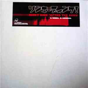 Rinky Dink - After The Song download flac mp3