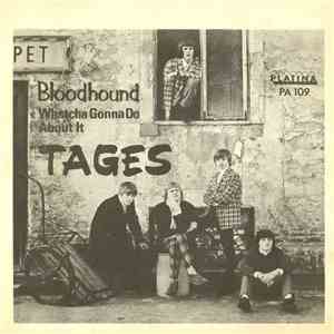 Tages - Bloodhound / Whatcha Gonna Do About It download flac mp3