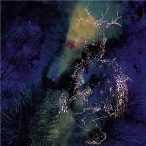 Bardo Pond - Under The Pines download flac mp3