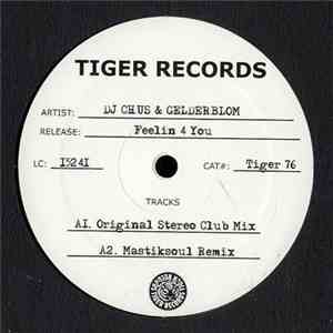 DJ Chus & Gelderblom - Feelin 4 You download flac mp3