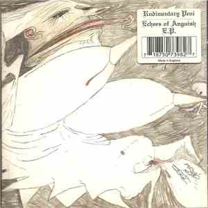 Rudimentary Peni - Echoes Of Anguish download flac mp3