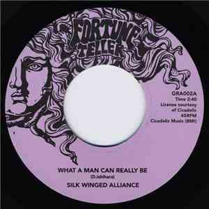 Silk Winged Alliance - What A Man Can Really Be / I Lost My Baby download flac mp3