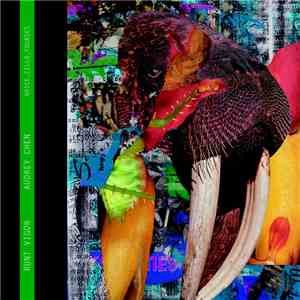 Audrey Chen - Runt Vigor download flac mp3