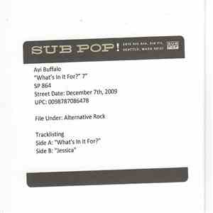 Avi Buffalo - What's In It For? download flac mp3