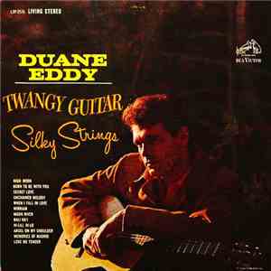 Duane Eddy - Twangy Guitar - Silky Strings download flac mp3