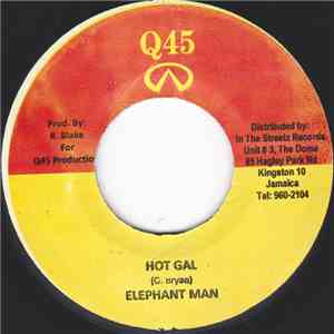 Elephant Man - Hot Gal download flac mp3