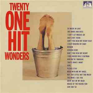 Various - Twenty One Hit Wonders download flac mp3
