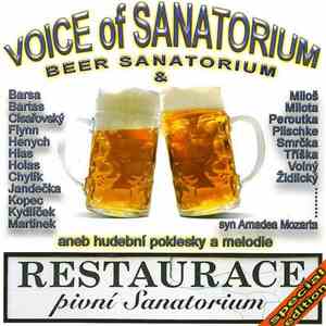 Beer Sanatorium - Voice Of Sanatorium download flac mp3