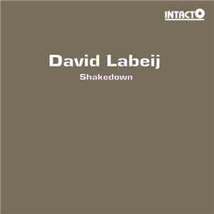 David Labeij - Shakedown download flac mp3