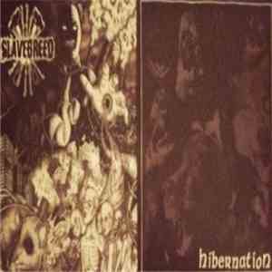 Hibernation / Slavebreed - Untitled download flac mp3