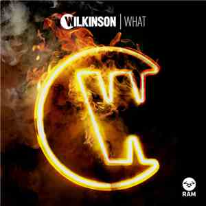 Wilkinson  - What download flac mp3