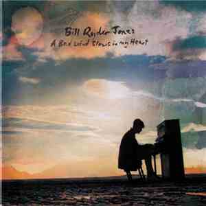 Bill Ryder-Jones - A Bad Wind Blows In My Heart download flac mp3