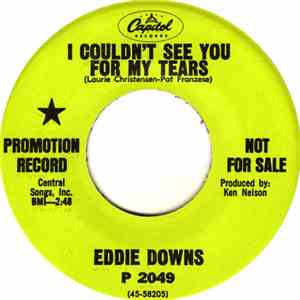 Eddie Downs - I Couldn't See You For My Tears download flac mp3