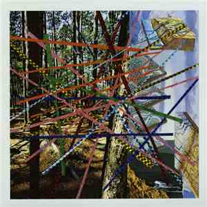 Imaginary Softwoods - Imaginary Softwoods download flac mp3