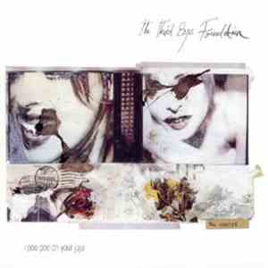 The Third Eye Foundation - I Poo Poo On Your Juju download flac mp3