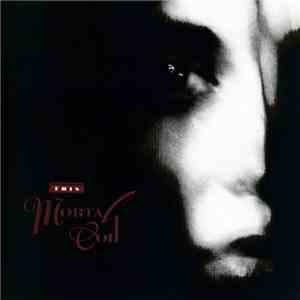 This Mortal Coil - Filigree & Shadow download flac mp3
