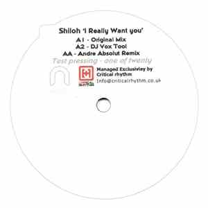 Shiloh - I Really Want U download flac mp3