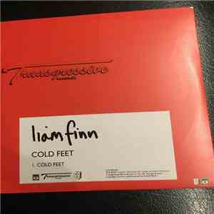 Liam Finn - Cold Feet download flac mp3