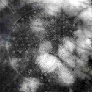 Mike Hallenbeck - In Shadows download flac mp3