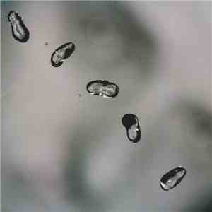 Peter Gabriel - Up download flac mp3