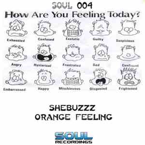 Shebuzzz - How Are You Feeling Today? download flac mp3