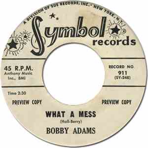 Bobby Adams  - What A Mess download flac mp3