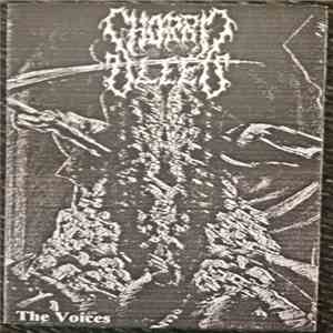 Horrid Sleep - The Voices download flac mp3