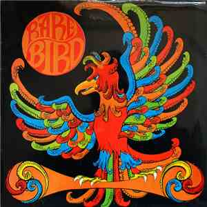 Rare Bird - Rare Bird download flac mp3