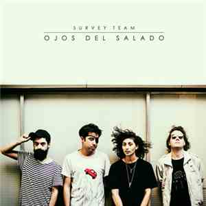 Survey Team - Ojos Del Salado download flac mp3